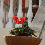 La Casa Di Andrea Chieti